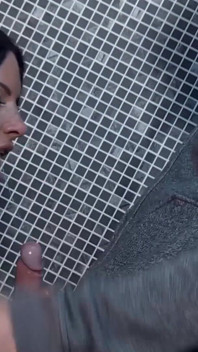 Elicia Solice & Ryan Ryder, public toilet sex