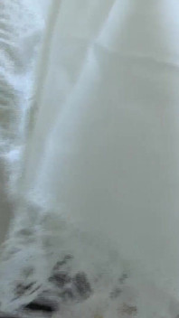 늙은 손수건을 스니핑하는 날 - 3부, 레이디 빅토리아 발렌테
