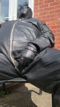 Leder in der Sonne