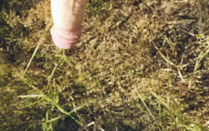 Amreis: Forest Cum, Walk with Final Orgasm