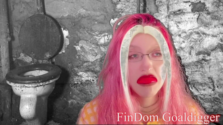 FinDom Goaldigger: Transformacja złotej toalety