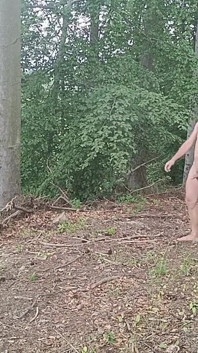 Esposizione nella foresta: Un uccello inseguito in una foresta di faggi
