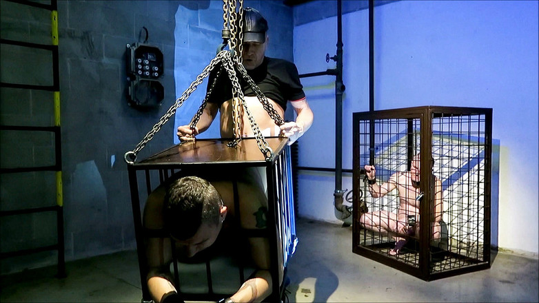 Master Drex: Da una gabbia all'altra