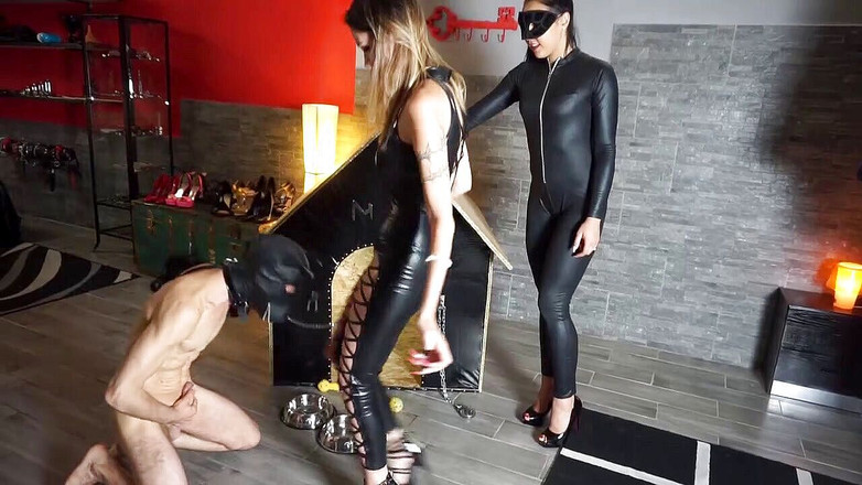 Lady Mesmeratrix Official: 两个女主调教把她们的奴隶当宠物