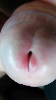 Glans Teasing to the First Drop of Preejaculate - Soloxman