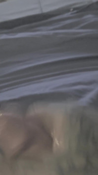 Buzz Blast Precum, Then Dumps Big Thick Load of Cum!