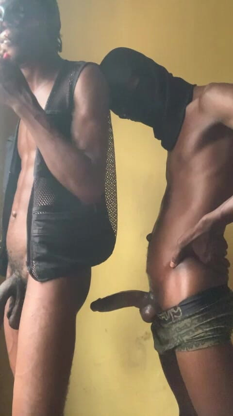 Honeyslim: Zlato Dick Ik chce jen toho ptáka