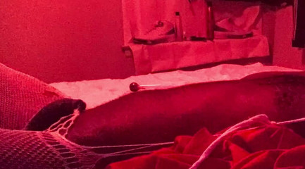 Masks off: Sex po telefonu