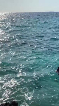 Monika Fox Stopte Een Tourbus Om Naakt Te Zwemmen in De Caribische Zee!