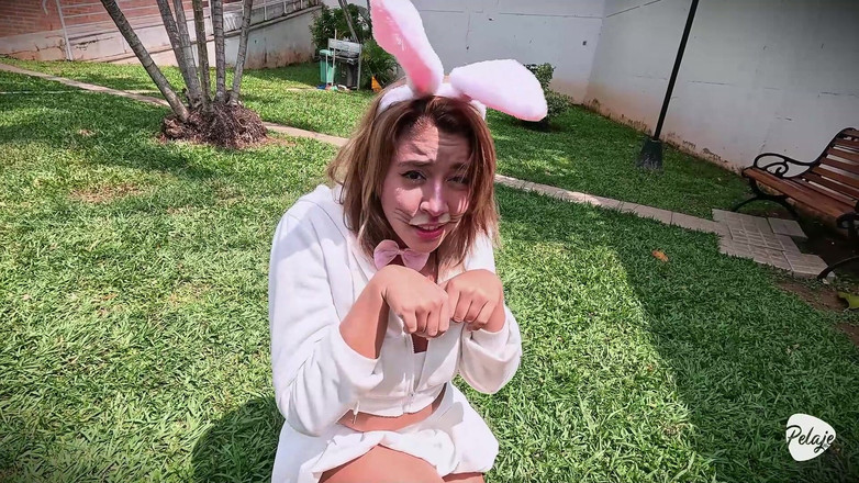 Pelaje mix: Het onschuldige konijn houdt ervan om wortels overal in haar...