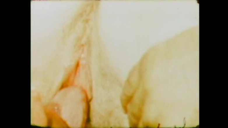 Vintage Usa: Slut at Home