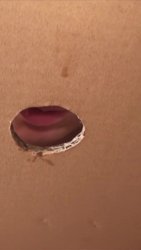 Gloryhole
