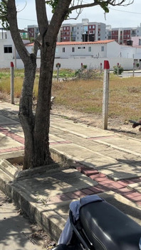 Eu encontro uma garota sexy de bunda grande com sua motocicleta encalhada, então eu decido ajudá-la e, em troca, ela me deixa dar a ela uma foda rica e dura.