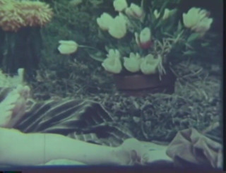 Vintage Usa: Hot vintage sex outdoor by the swimming pool!