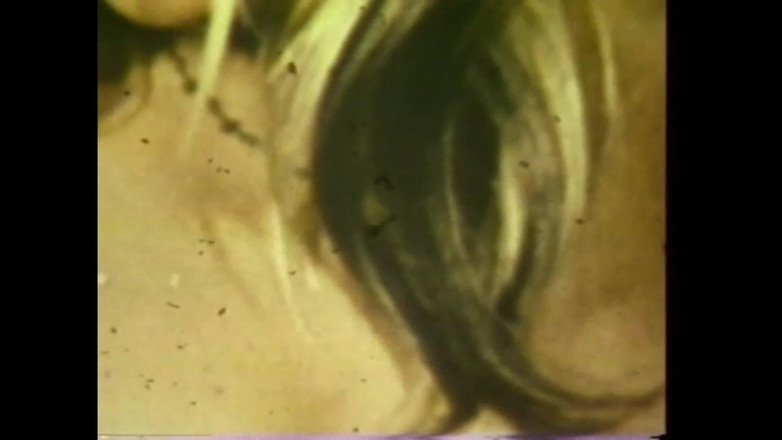 The Unforgettable: Bláznivá masturabada