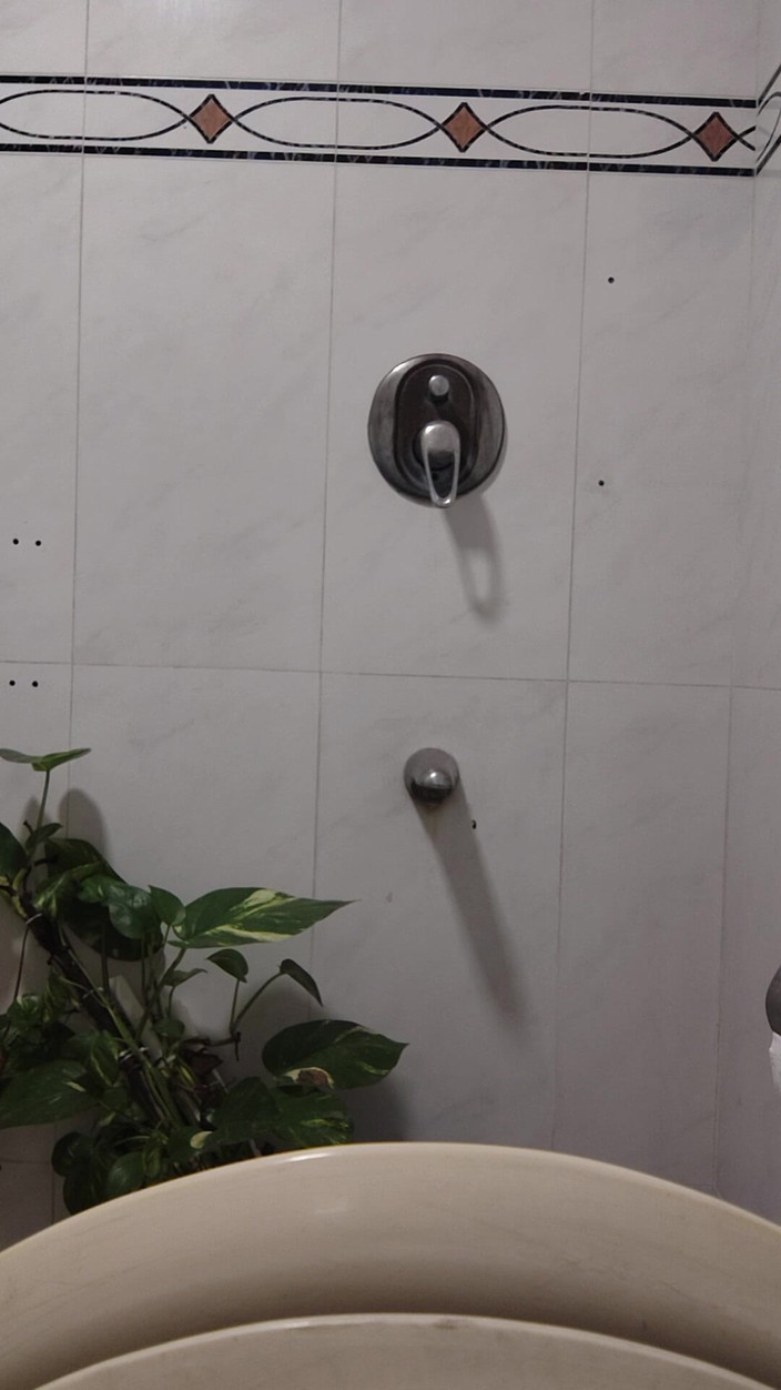 asa: 女の子のためのホットなペニス