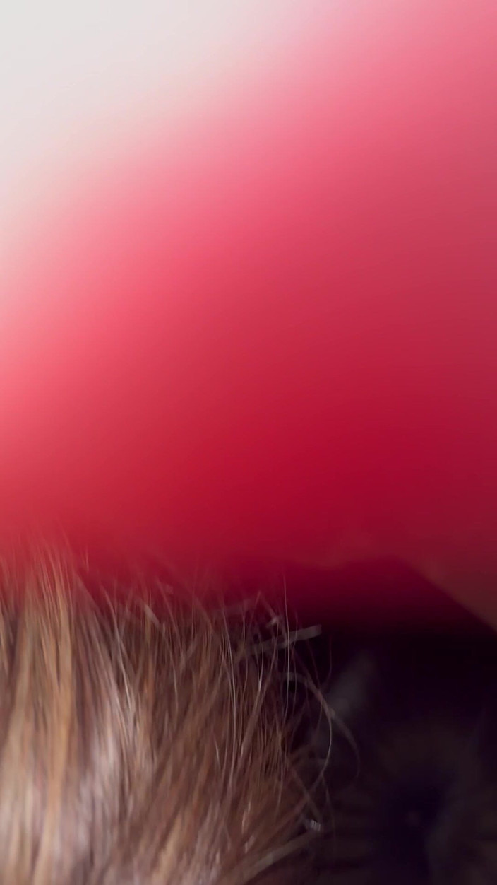 Spankmonga713: Deep Throat Training for Trans Doll Before Orgy