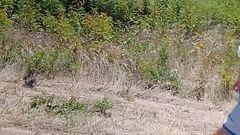 My Step Mom Pissing on the Road