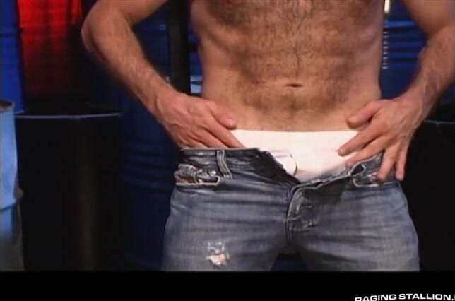 Raging Stallion: Hengste