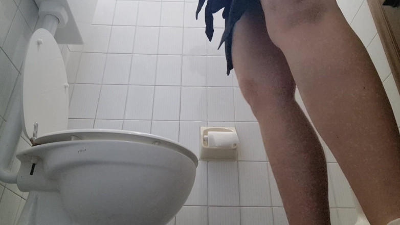 Nicoletta Embassi: The Blasphemous Public Toilet