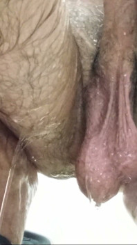 A handsome cock with big, hairy balls is taking a shower and waiting for beautiful, hairy pussies—to stick it inside... sorry, but he really wants to!