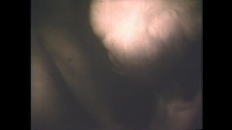 The Unforgettable: Babi Gozona Mengepam Susu