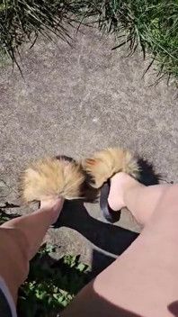 So Many Foot Clips Piled Into One