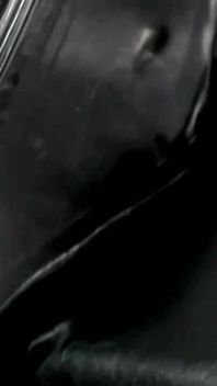 Trailer508