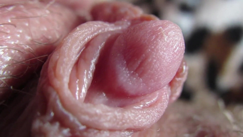 Cuteblonde666: Estremo primo piano sulla mia testa dura clitoride
