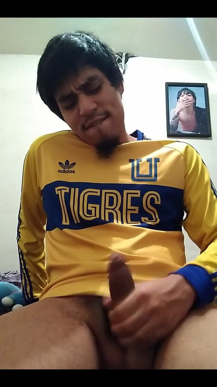 AlexAlejandro13: Tigres, tôi sẽ trở lại giàu có.