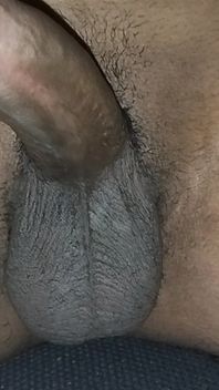 Erection of a Indian Dick