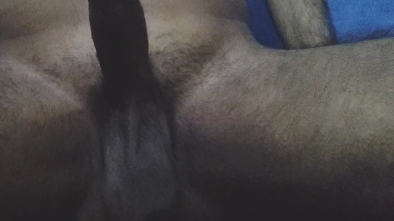 Robbie Dog: Indischer desi-typ schwanz zum valentinstag-special