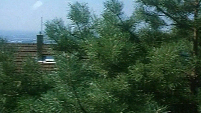 Vintage megastore: Porno italiano vintage con una mora tettona che cavalca un...