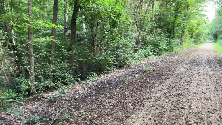 SweetSusi: Spermawalk Im Wald