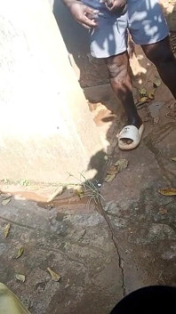 Réalité, Grosse Noire - La Séance De Sororité En Plein Air De Hongi Se Déchaîne Sous La Douche À Côté De La Barrière Du Voisin