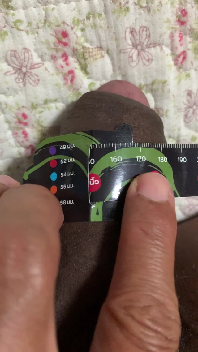 Circumference 150 Mm While Softening (Lucky body) Circumference 150 Mm While Softening (Lucky body)