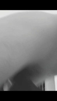Lying on the Dick