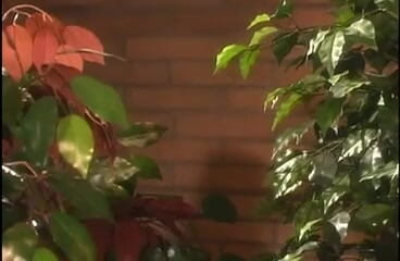 Tight little babes: Gözlüklü asosyal Meksikalı öğrenci üniforma giyerken sikiliyor