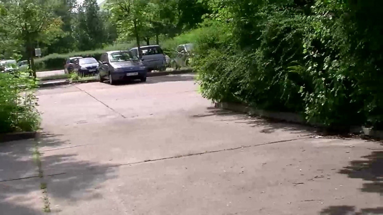 German amateur - 100% German hardcore videos: Brünettes schätzchen bekommt ihre haarige muschi im auto gefickt