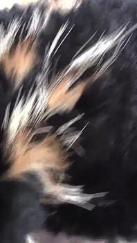 Ejaculation Training: Sniffing and Cumming on a Fur Scarf, Lady Victoria Valente