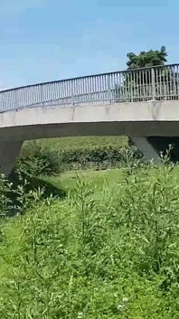 高速道路の隣での危険な屋外ファック