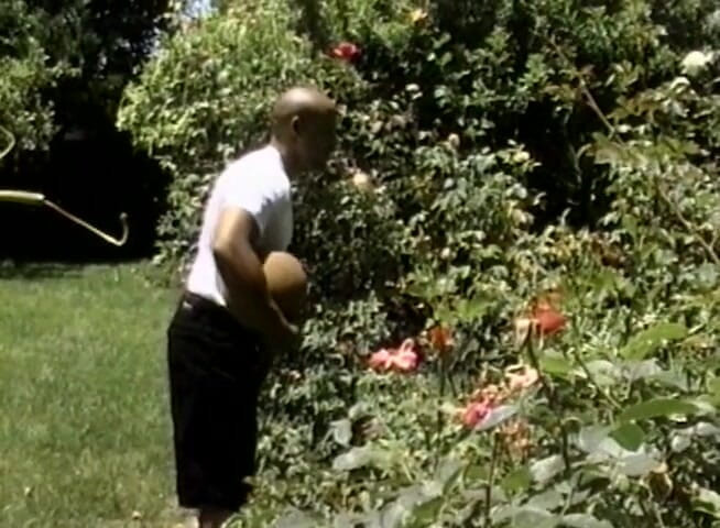 The Vintage Era: BBC drilling ebony's pussy outdoors