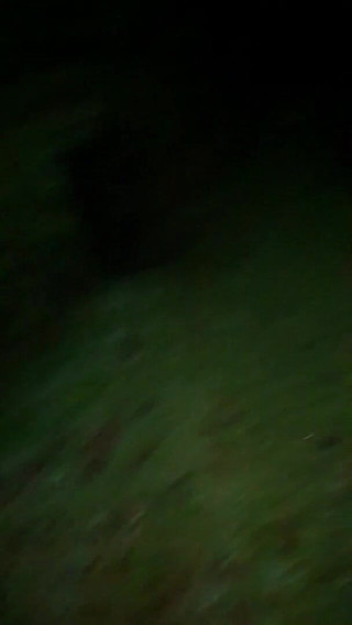 Slutboyben: Slutboyben Cam4 Sexy exhibicionistická královna Holland