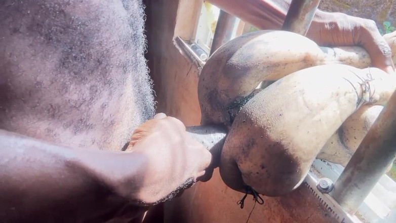 Bangcum8: Verdammtes sexspielzeug