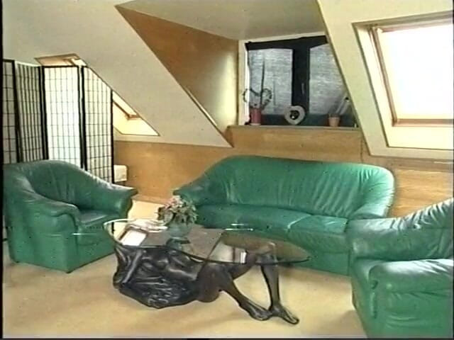 Lucky Cooch: Picked up busty chick gets fucked on the couch