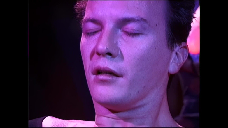 Cinema X: De Magische Kamer met veel vibratie