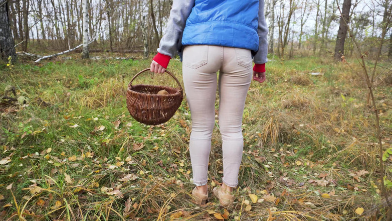 Teasecombo 4K: Milf en pantalones ajustados recogiendo setas en el bosque fetiche...