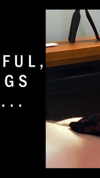 Devoted Little Slut for Cock