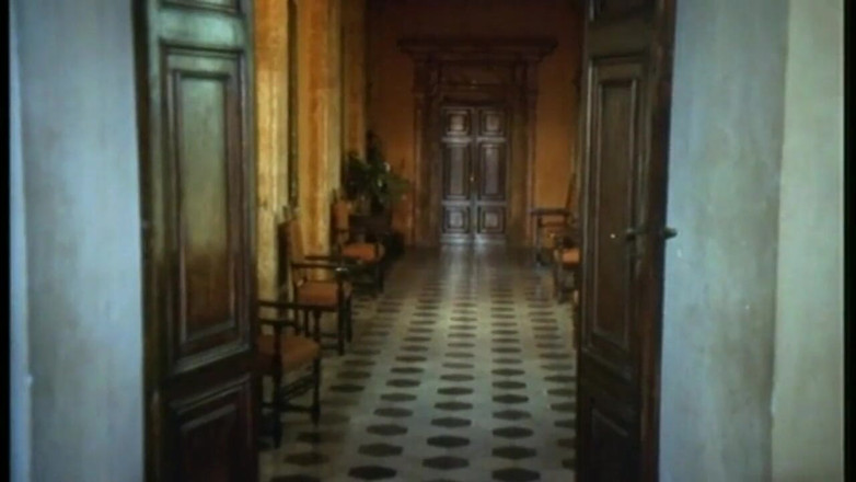 XTime Vod: Retro chlupatá kundička dvojitá penetrace análního orgasmu