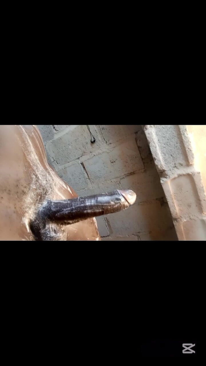 Hongi: Bu büyük siyah yarağa saygı koyabilir misin